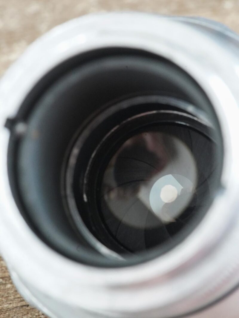 Uncoated Trioplan 75mm f/2.9 Meyer Gorlitz  M39 №1093905 bubble bokeh - Image 6