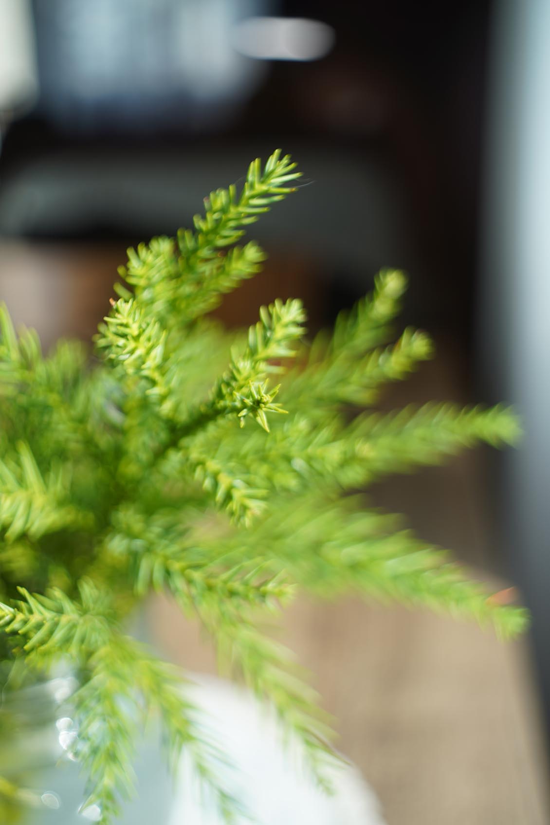 MIR-1 37mm f/2.8 SLR M42 №714595 macro - Image 10