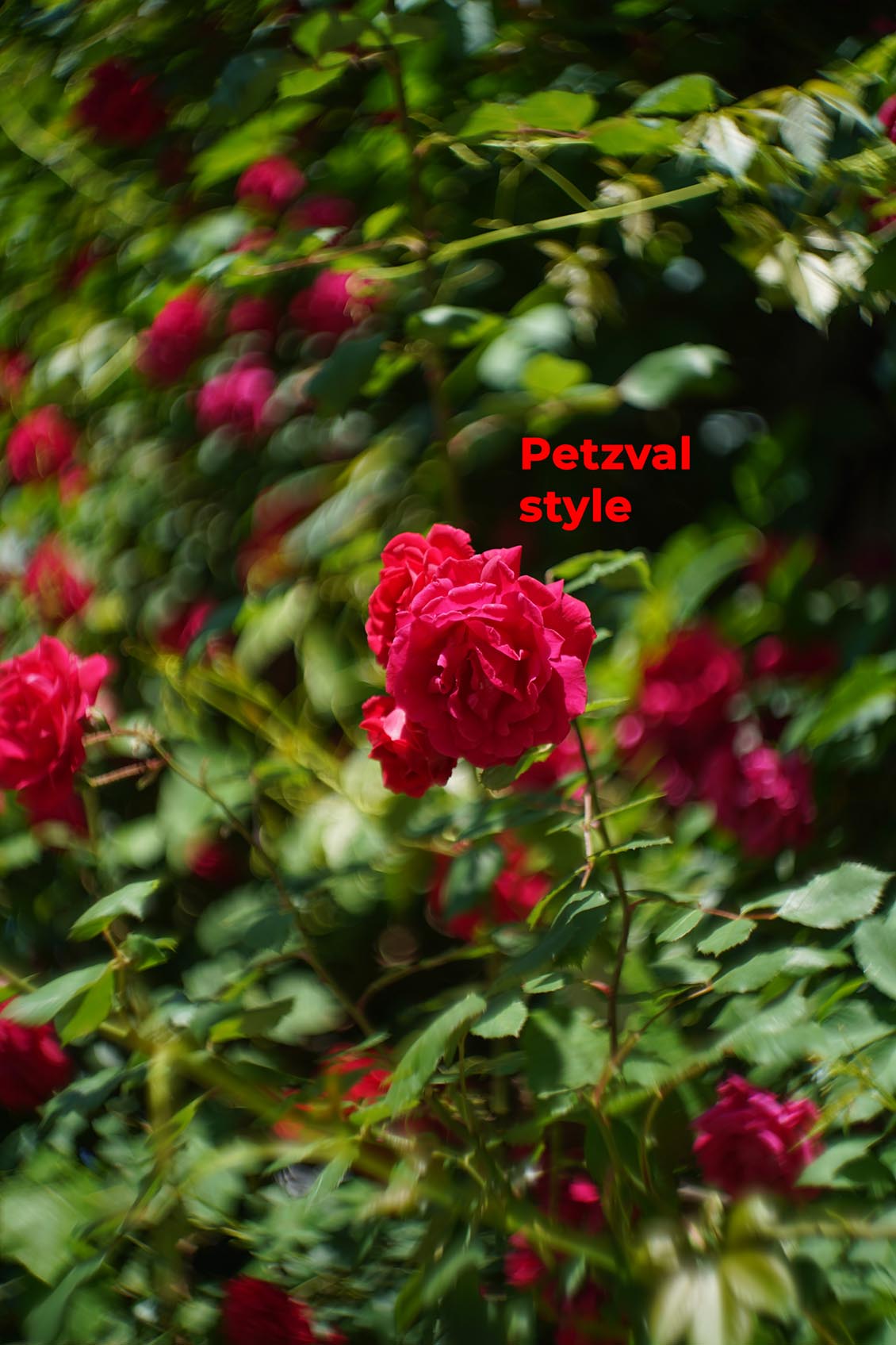 Petzval style Helios 44-2 2/58mm №7788729 M42 - Image 9