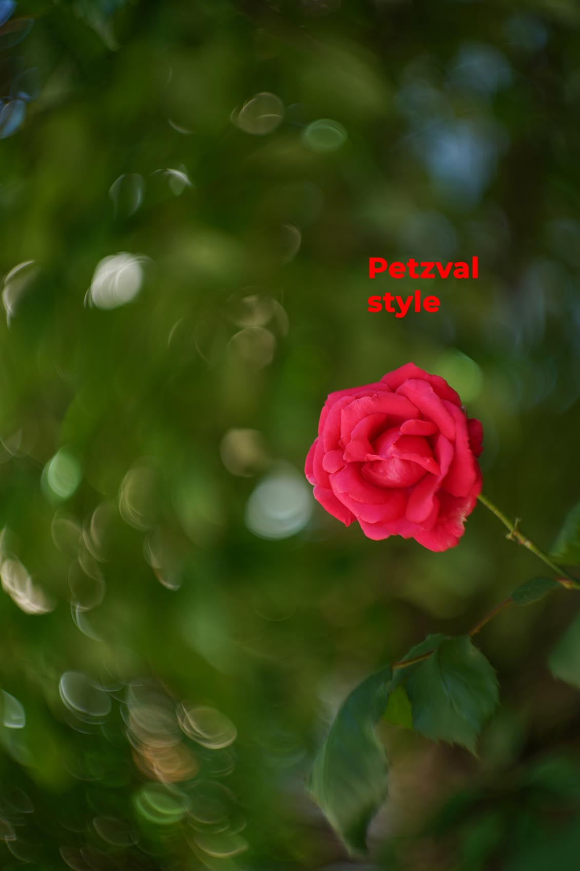 Petzval style Helios 44-2 2/58mm №7788729 M42 - Image 11
