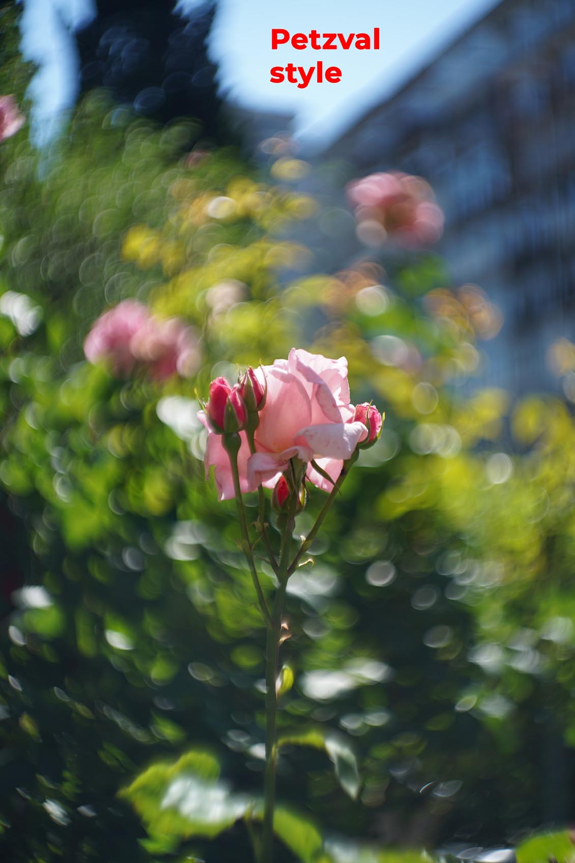 Petzval style Helios 44-2 2/58mm №7788729 M42 - Image 13