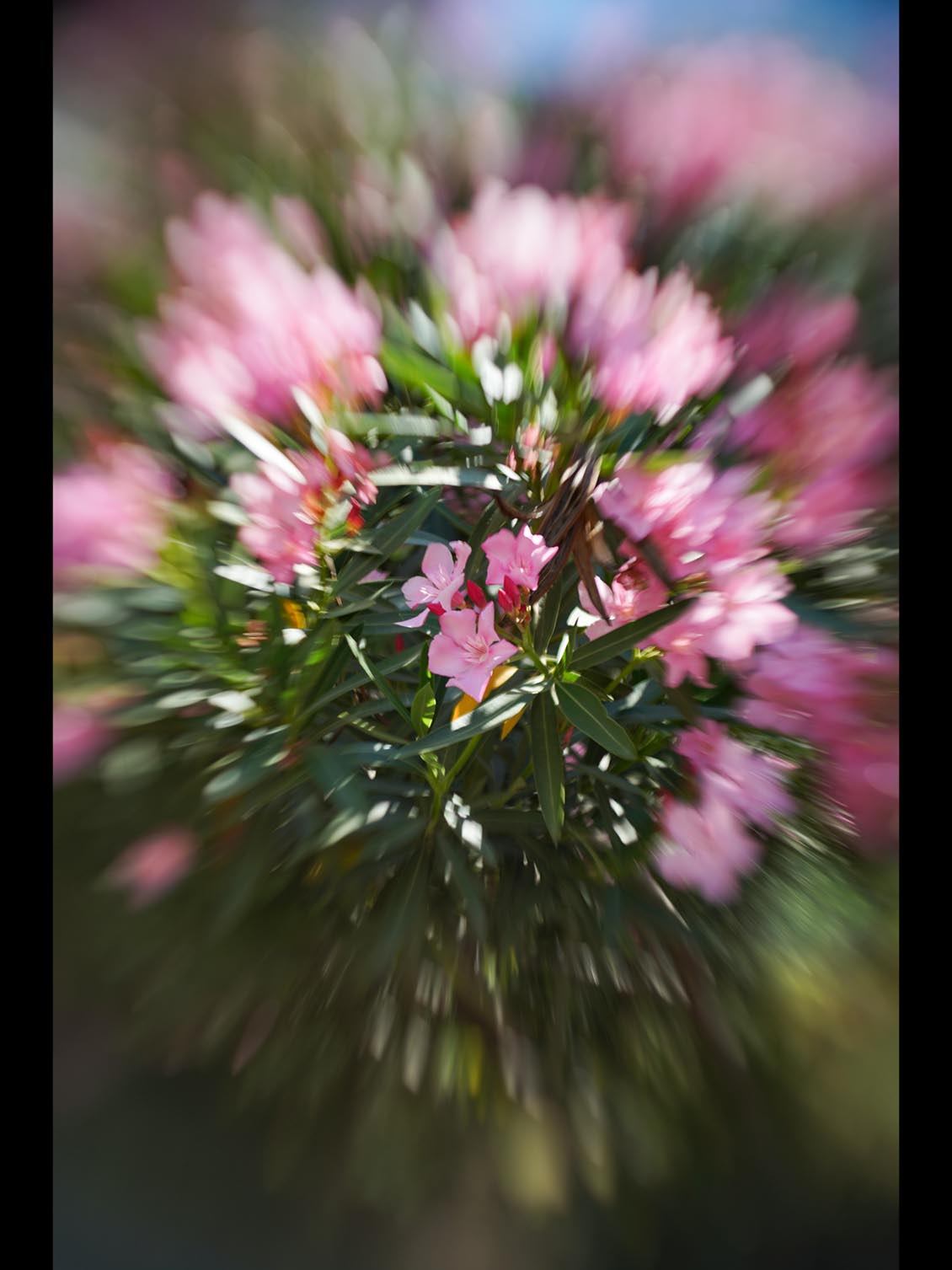 MIR-1b 37mm f/2.8 SLR M42 №89014906 uralseller mod swirly bokeh - Image 7