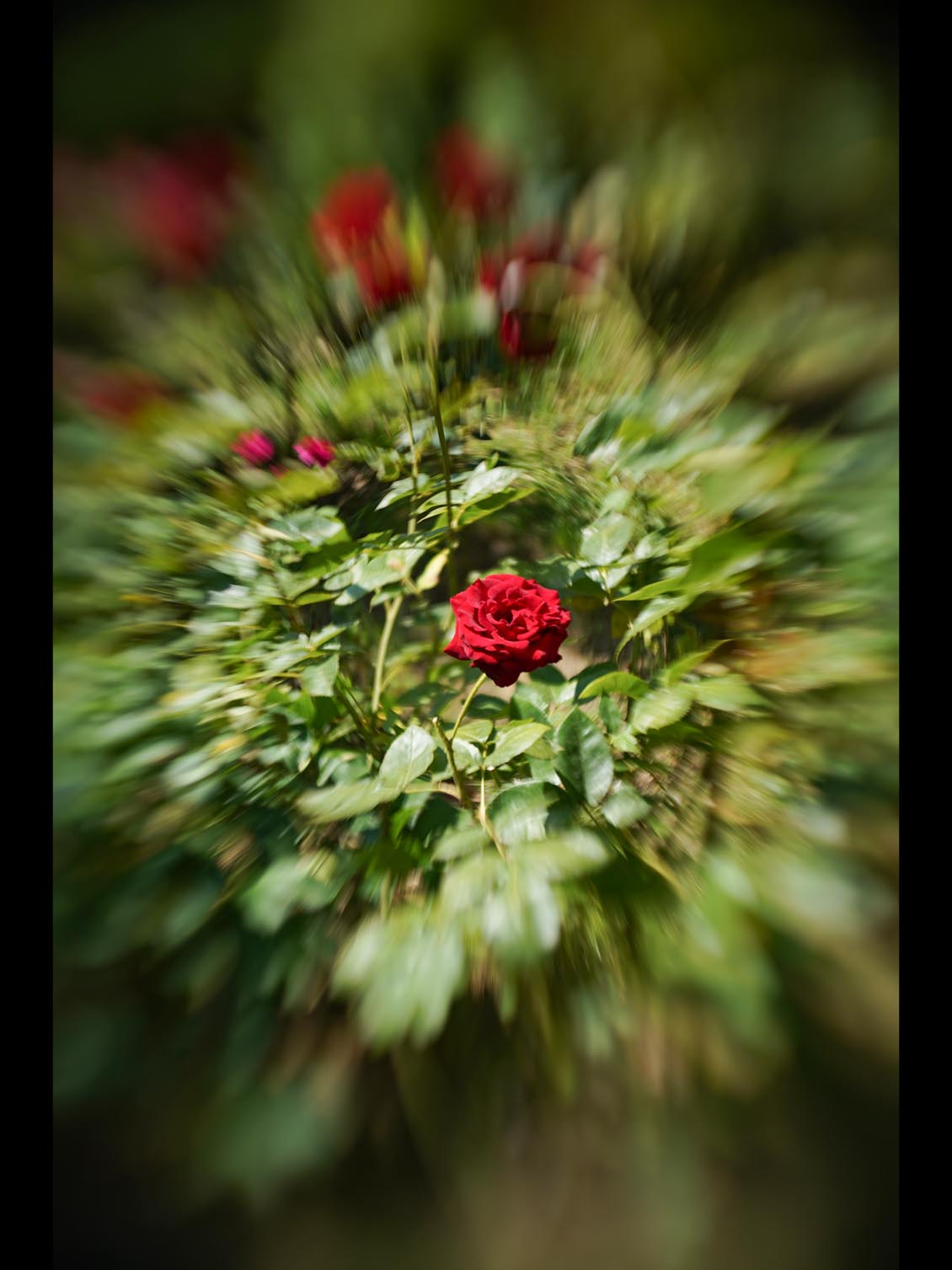 MIR-1b 37mm f/2.8 SLR M42 №89014906 uralseller mod swirly bokeh - Image 8