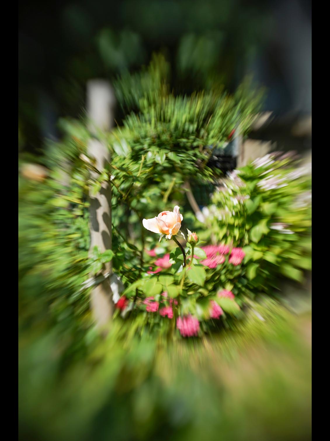 MIR-1b 37mm f/2.8 SLR M42 №89014906 uralseller mod swirly bokeh - Image 9