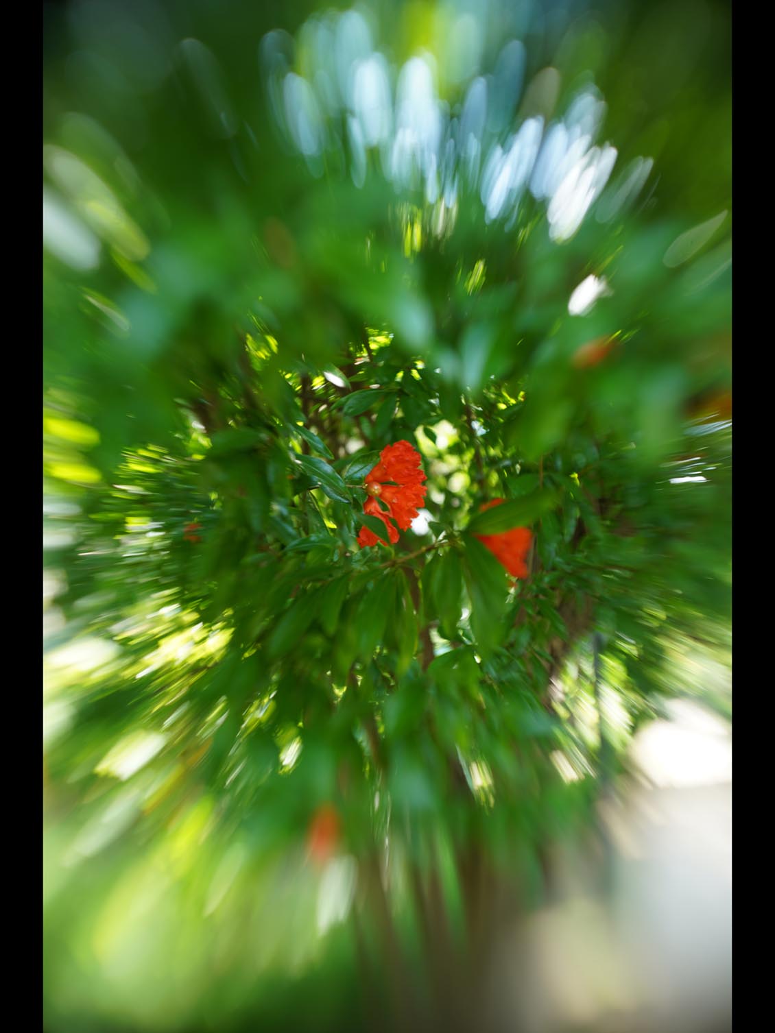 MIR-1b 37mm f/2.8 SLR M42 №89014906 uralseller mod swirly bokeh - Image 13