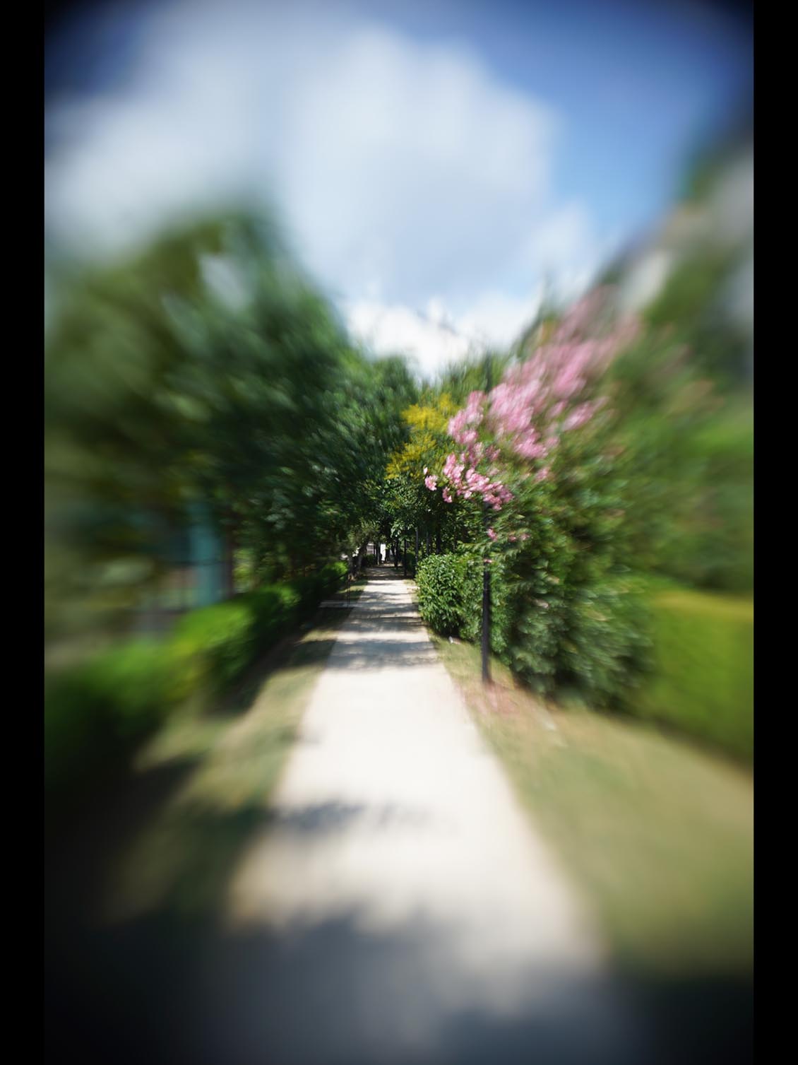 MIR-1b 37mm f/2.8 SLR M42 №89014906 uralseller mod swirly bokeh - Image 14