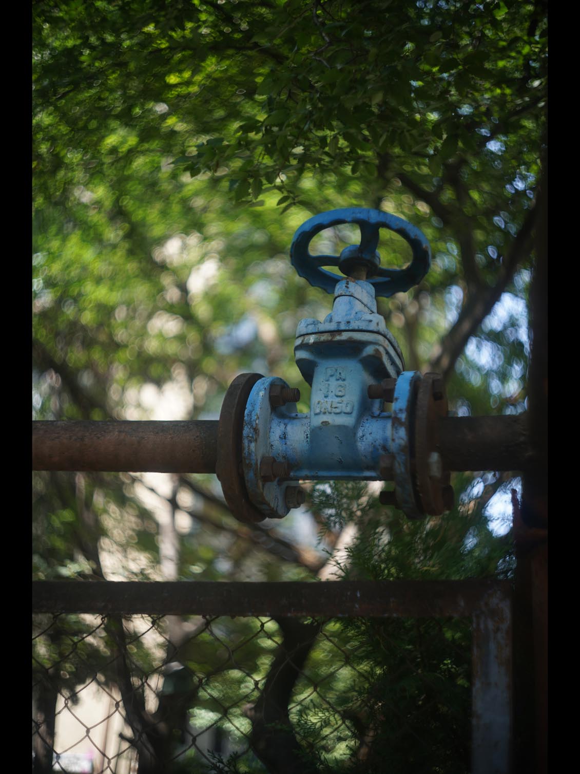 Biotar 40mm f/1.9 M39(LTM/LSM) Carl Zeiss Jena Robot - Image 14